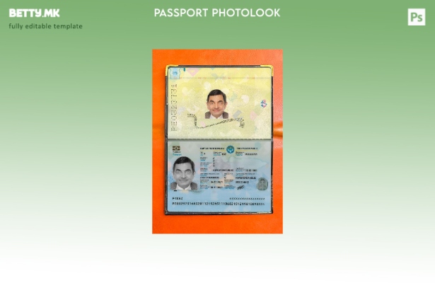 Модерен стил на киргистански пасош прикачен шаблон за фото изглед